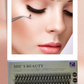 Lash Collection